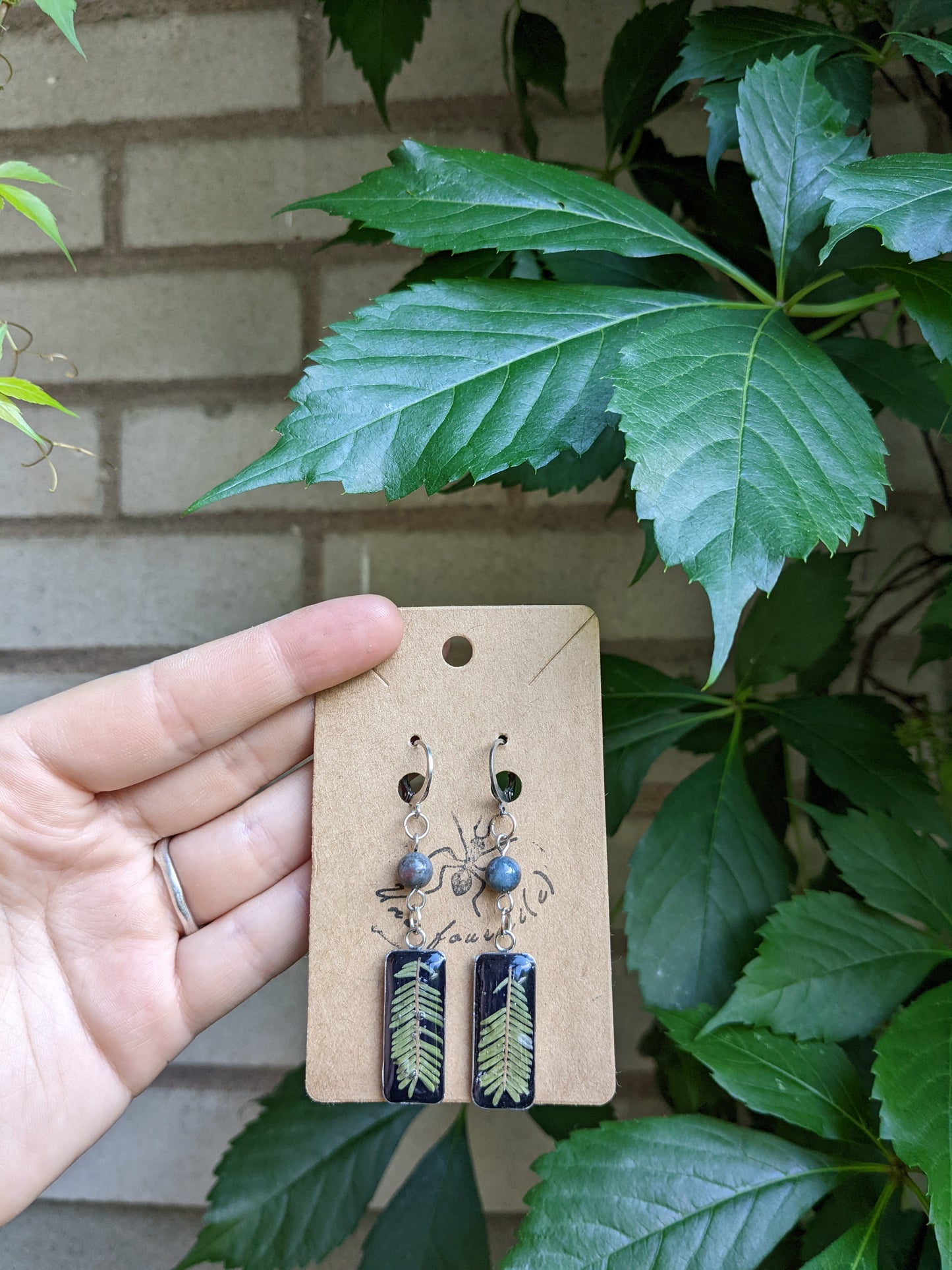 Rectangular ferns