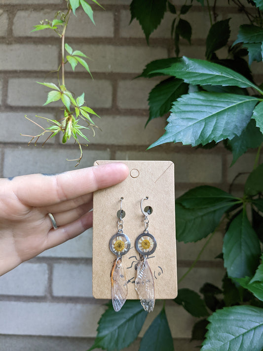 Cicada wings and daisies