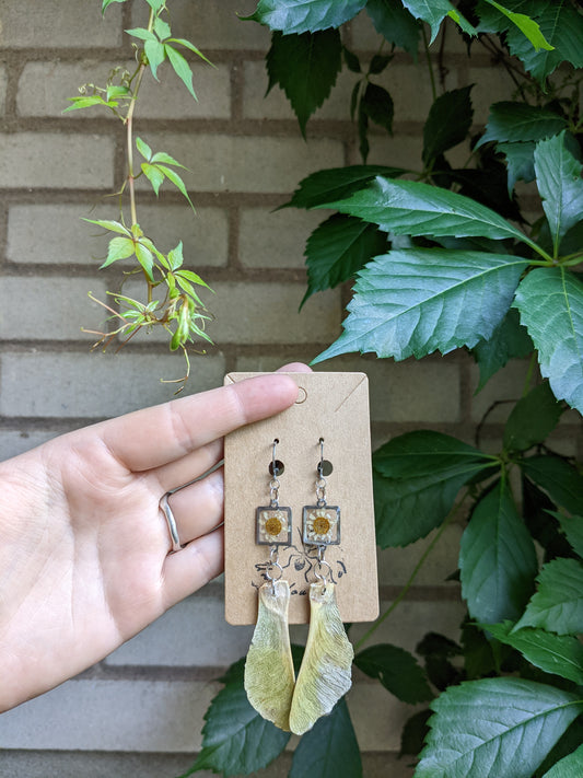 Helicopter & daisies