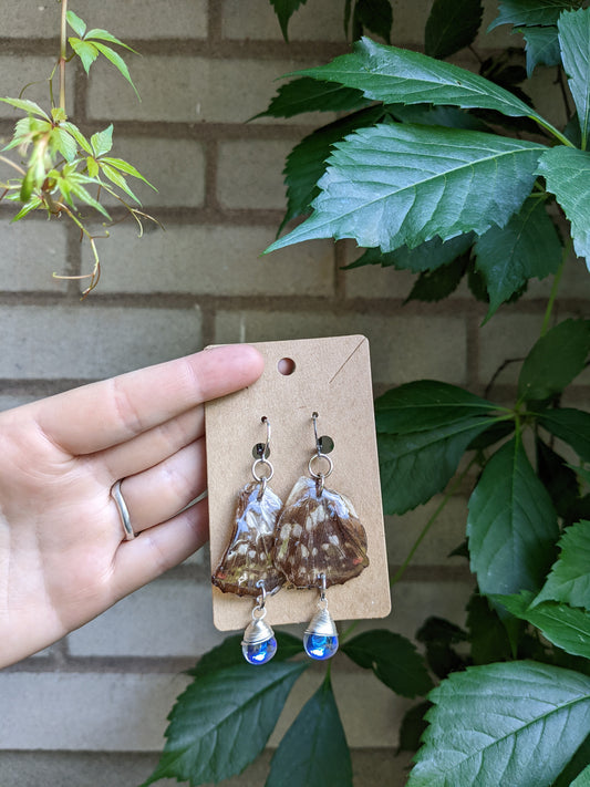 Brown butterfly wings