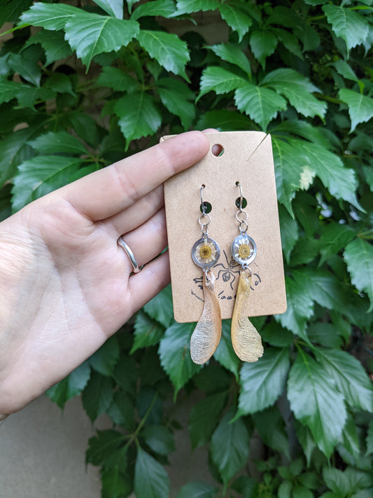 Helicopter & daisies