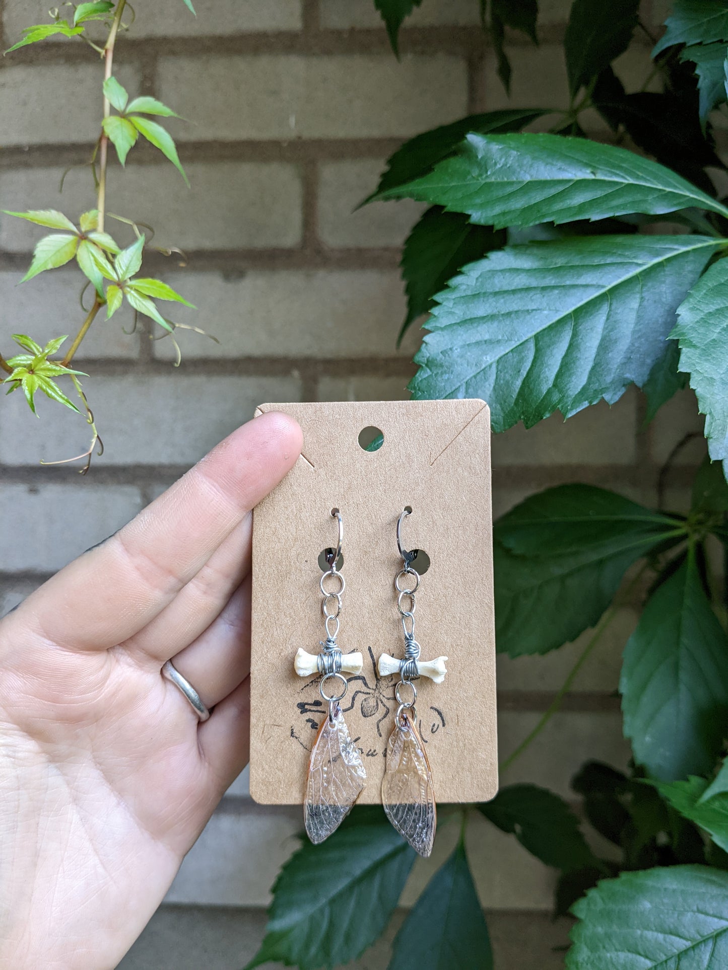 Tiny bones & cicada wings