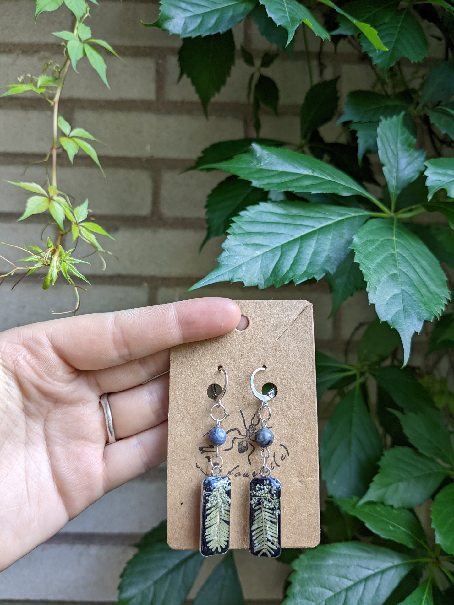 Rectangular ferns