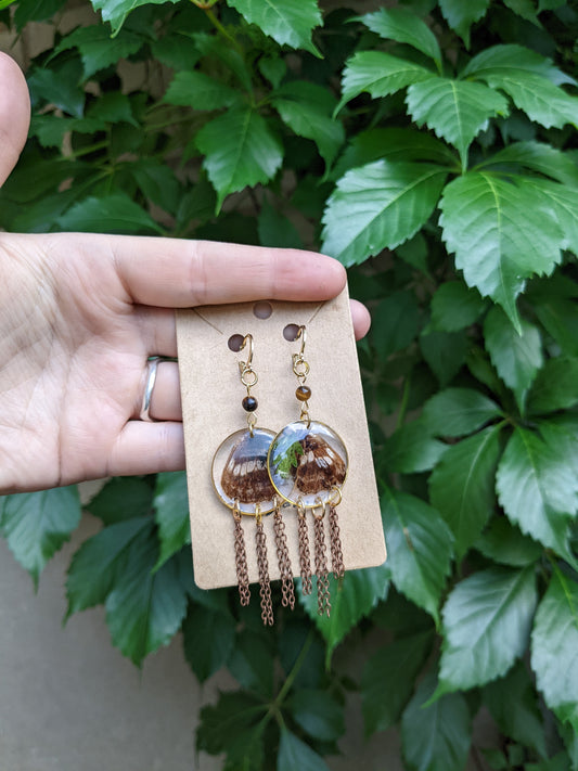 Chained butterfly earrings