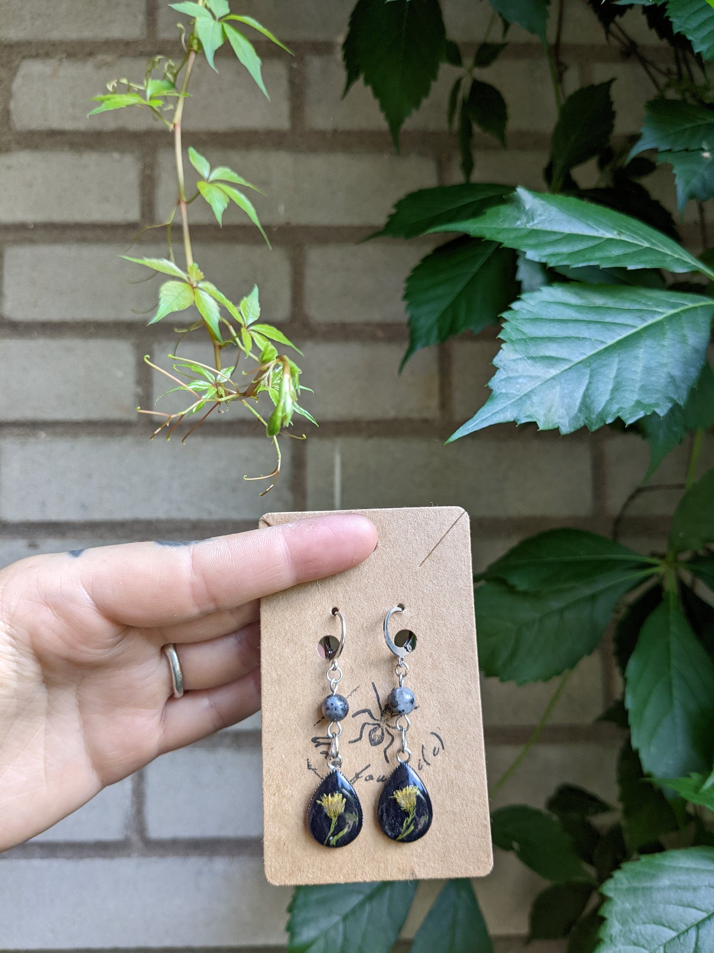 Mini solidago