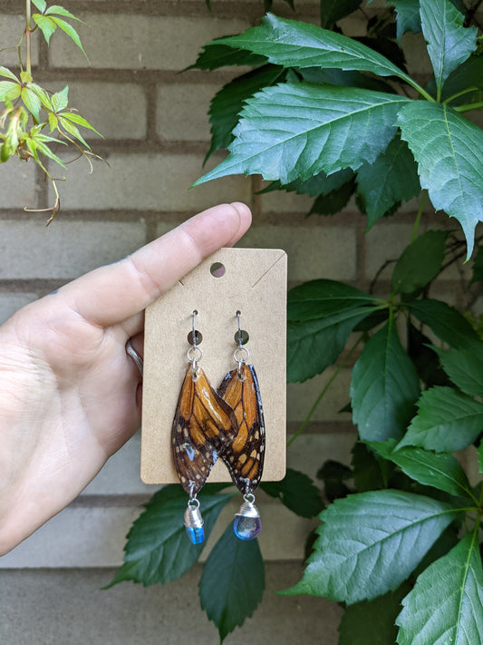 Monarch wings