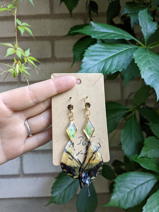 Yellow butterfly wings & ferns