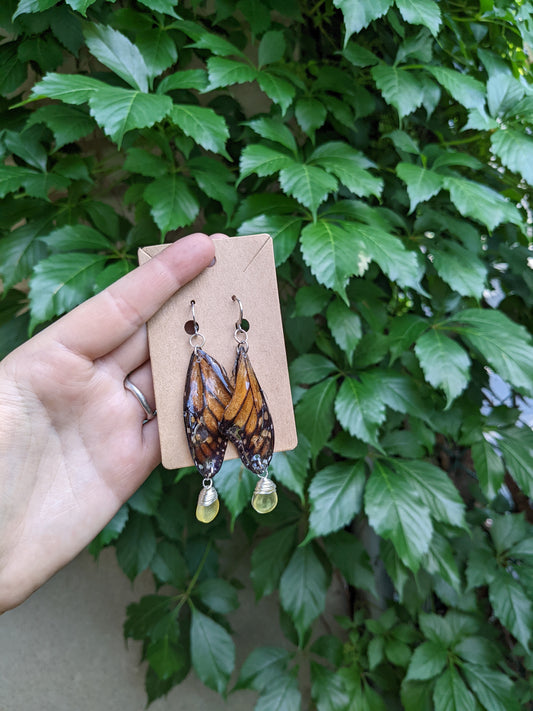 Monarch wings
