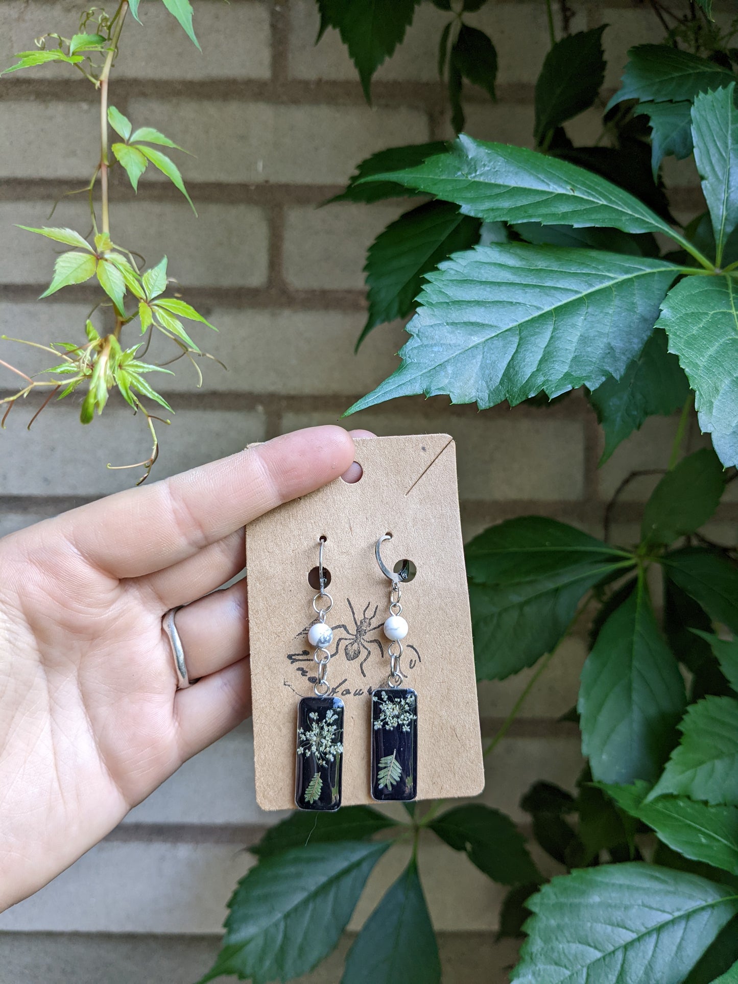 Rectangular ferns