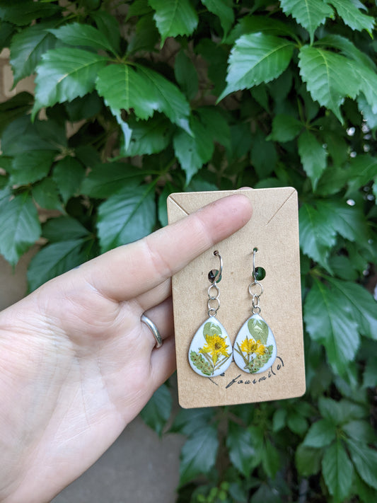 Buttercup & ferns