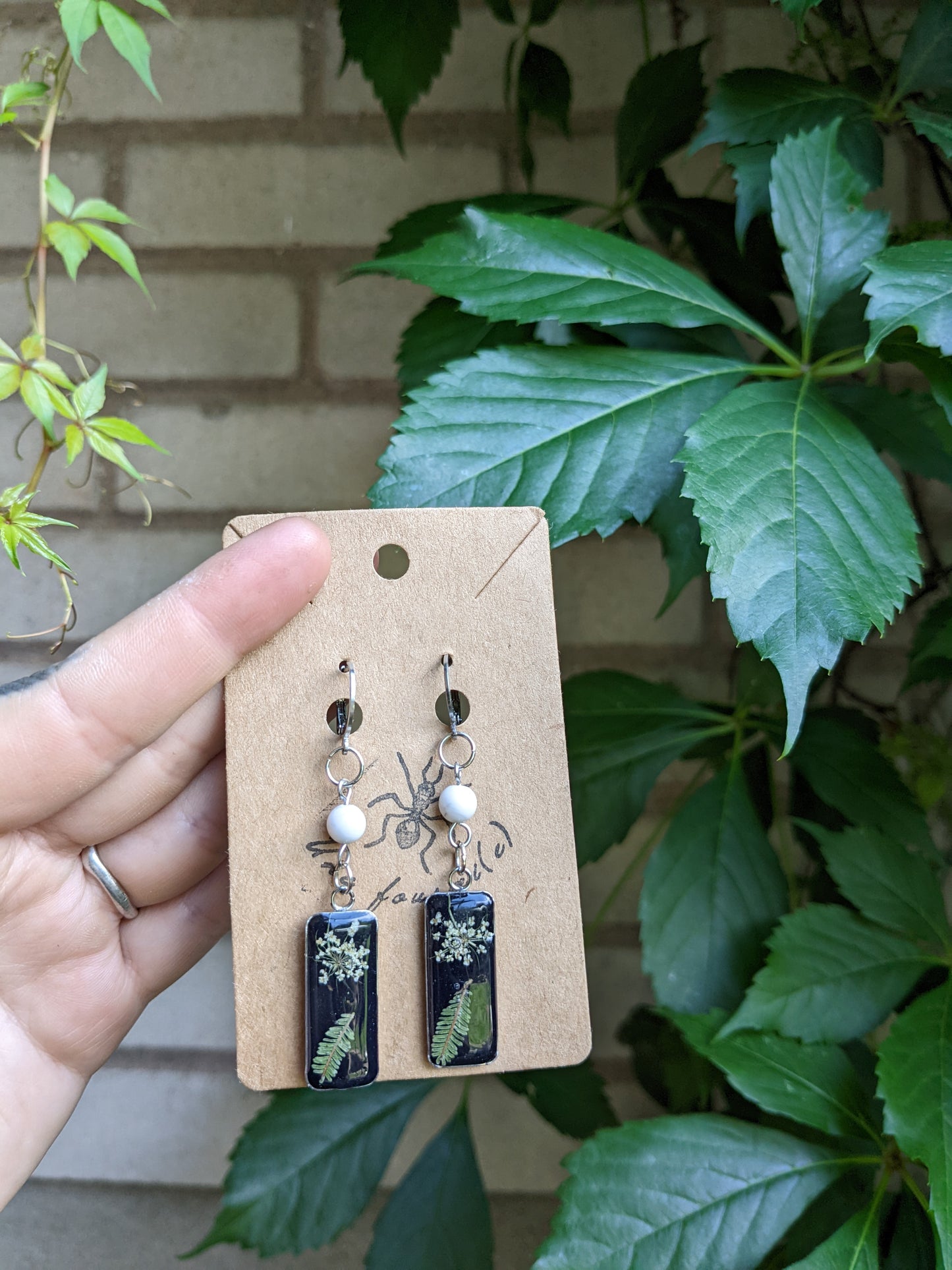 Rectangular ferns