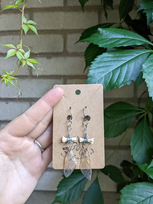 Tiny bones & cicada wings