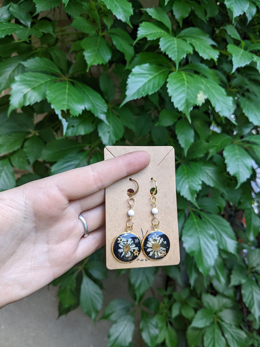 Golden daisies