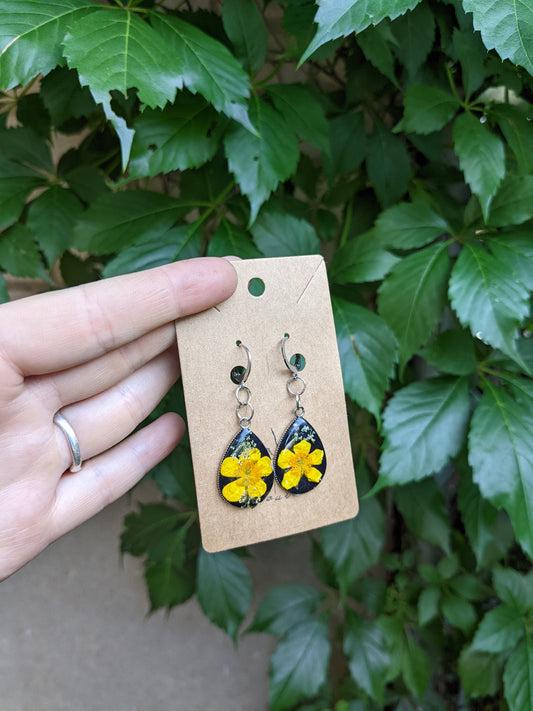 Yellow buttercups