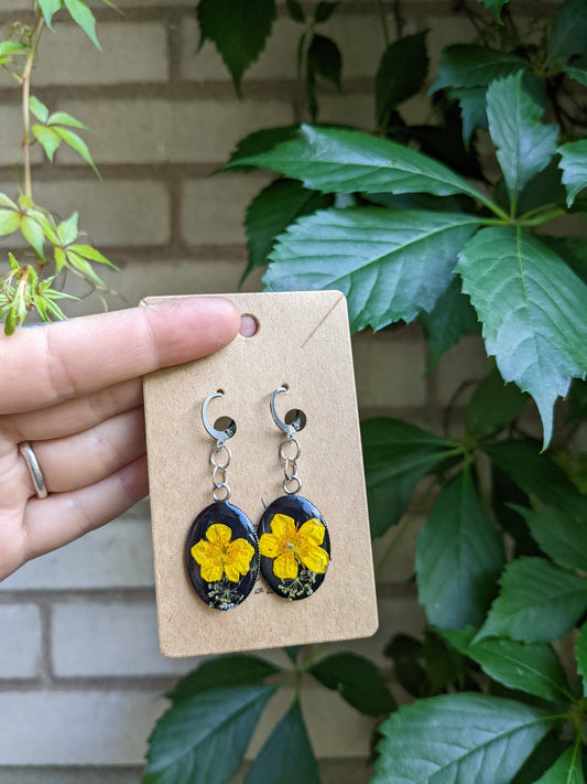 Yellow buttercups oval