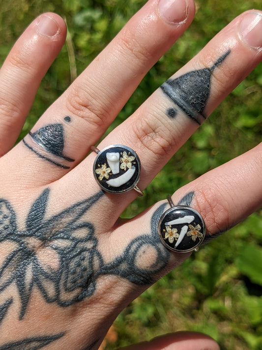 Rodent teeth rings